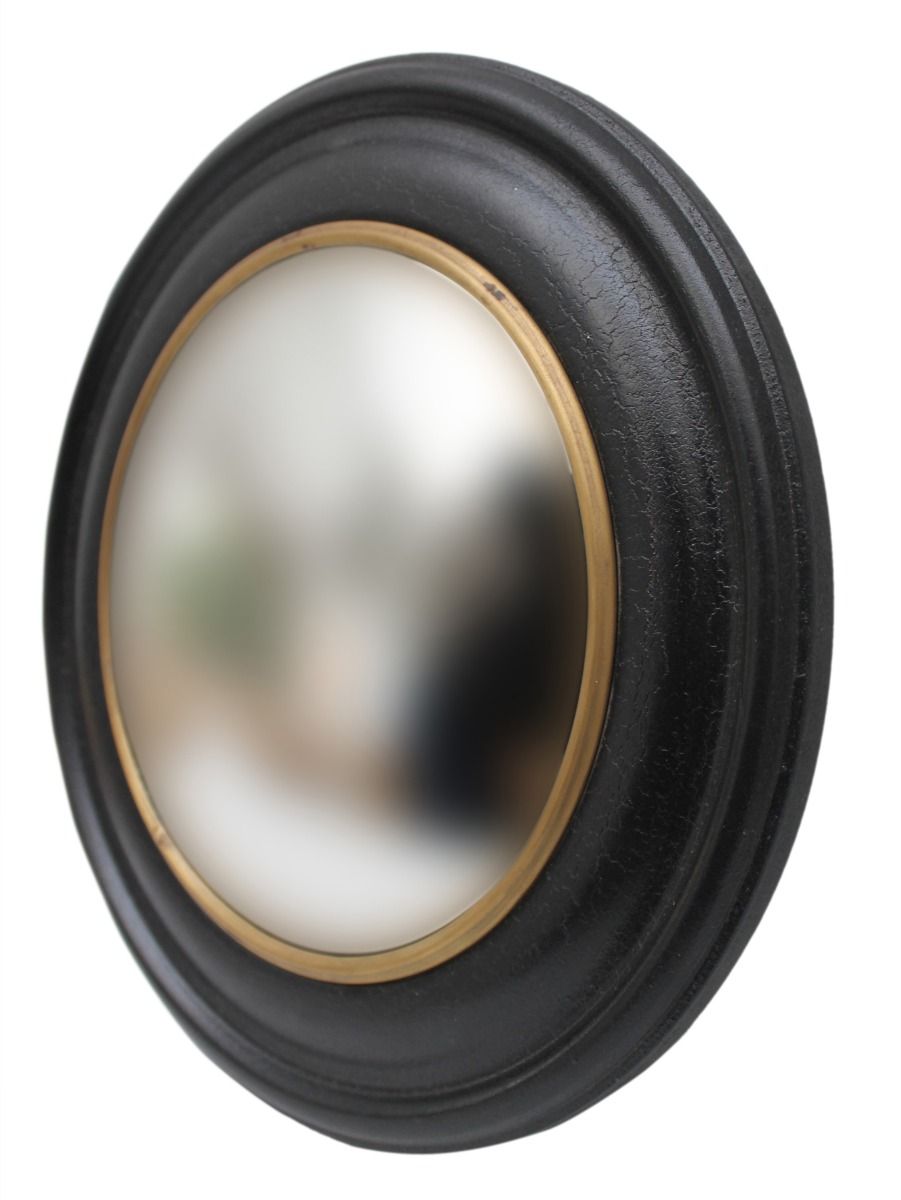 Convex mirror L