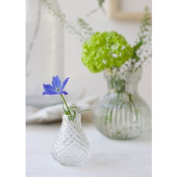 Vase transparent glass