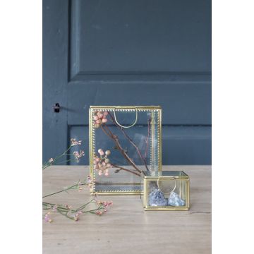 Glass display box