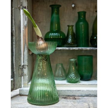 Hyacinth vase green