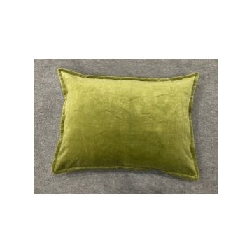 Green velvet cushion